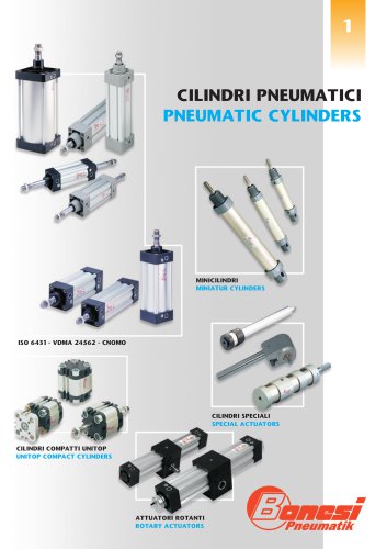 Pneumatic cylinders