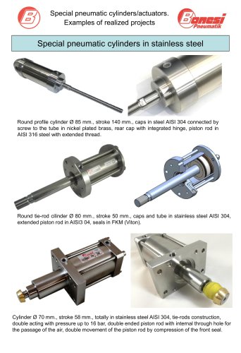 Special pneumatic cylinders in stainless steel