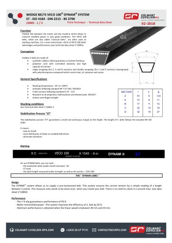 WEDGE BELTS VECO 100  DYNAM  SYSTEM