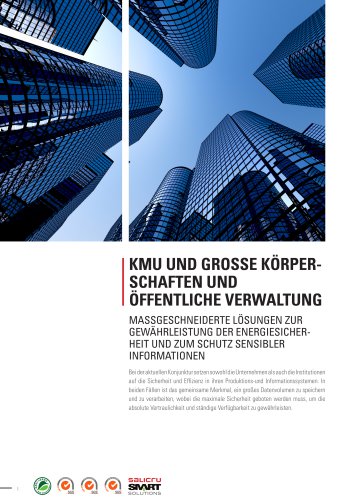 KMU, Grosse Körperschaften und Öffentliche Verwaltun