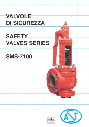 AST SMS-7100 Safety Valve for Steam Boiler