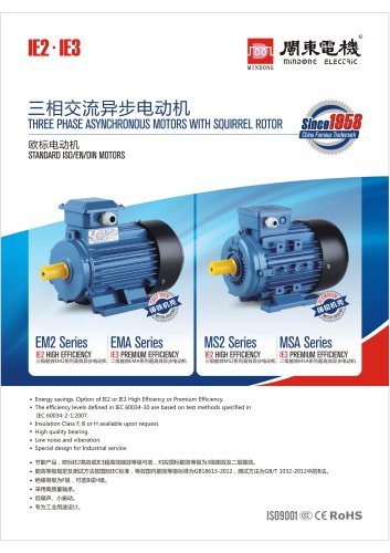 IE2/IE3 Electric Motor