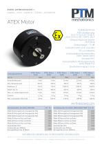 ATEX Motor