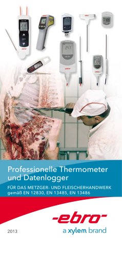 Professionelle Thermometer und Datenlogger