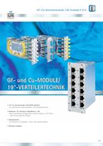 Glasfaser-9