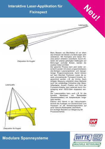 Laserpointer 2010