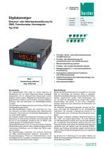 Datenblatt-Digitalanzeiger Typ 9163