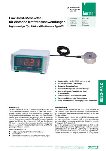 Datenblatt- Typ 9186/8532 (2025)