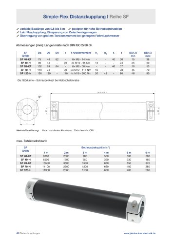 Flyer Simple-Flex