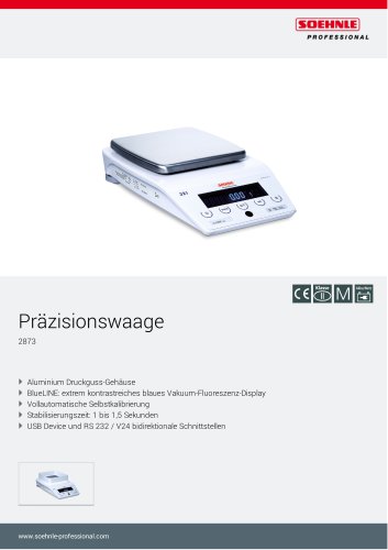 Präzisionswaage 2873