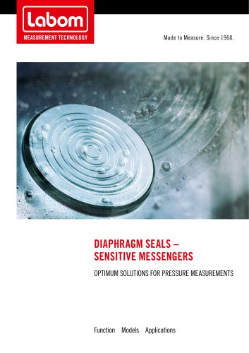 Diaphragm seals brochure