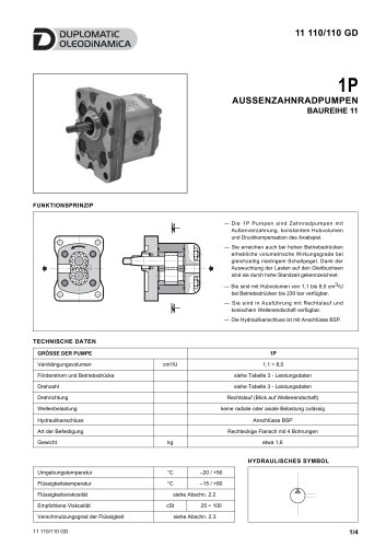 1P AUSSENZAHNRADPUMPEN