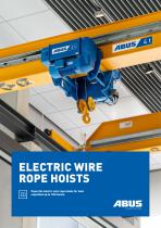 Electric wire rope hoists