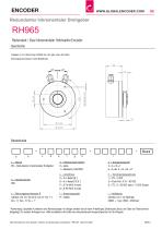 Datenblatt RH965 (DE)-2