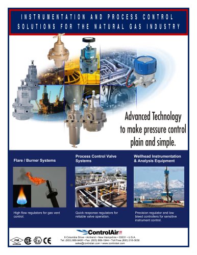 Natural Gas brochure