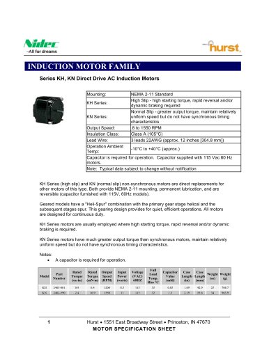 KH, KN Direct Drive Induction Motor