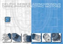 DELPHI SERIES ASYNCHRONOUS THREE-PHASE ELECTRIC MOTORS