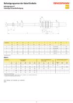 RCS® Fernbetätigungen - 11