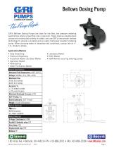 Bellows Dosing Pump