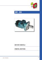 BR-BS Orbital Motors