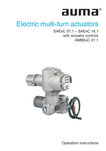 Electric multi-turn actuators