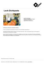 Leck-Dichtpaste