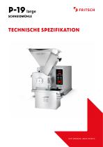 Technische Spezifikation P-19 large
