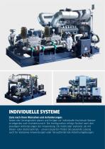 INDIVIDUELLE SYSTEME - 1