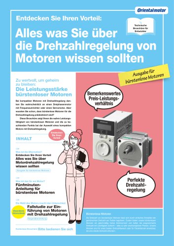 Kurzeinführung Bürstenlose DC-Motoren