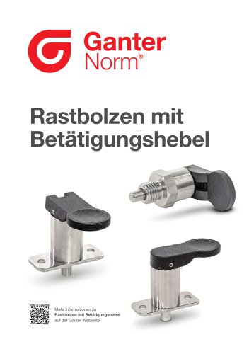 Rastbolzen GN 823