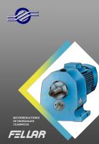 Geared motor drives