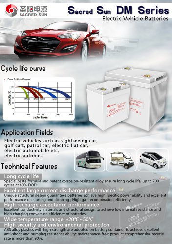 Sacred Sun DM Series—Electric Vehicle Batteries