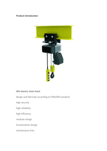 WH Electric Chain Hoist