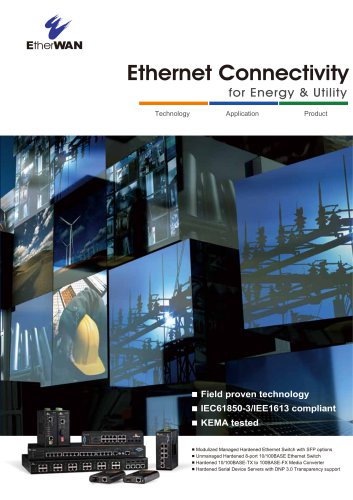 Ethernet Connectivity for Energy & Utility