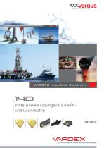 Professionelle Lösungen für die Öl - und Gasindustrie-1
