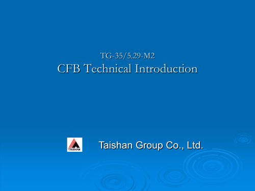 Taishan Group CFB boiler