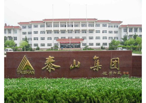 Taishan Group factory view