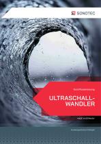Ultraschallwandler zur Durchflussmessung - 1