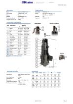 Safety and Relief valve