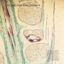 Explosive Themen von steute-17
