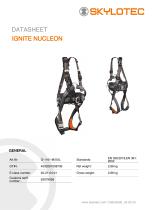 IGNITE NUCLEON