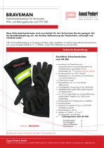 Braveman-1