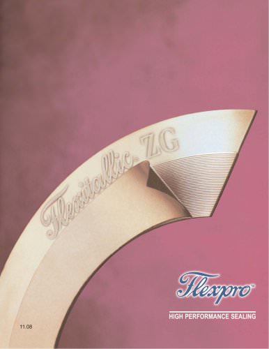 Flexpro Gasket (kammprofile)