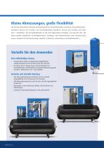 SONETTO 8-20-4