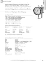 BDT13 - diaphragm differential pressure gauge