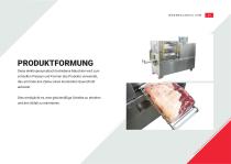 Fast Ham System-21