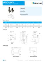 Pneumatic Pilot Check Valve