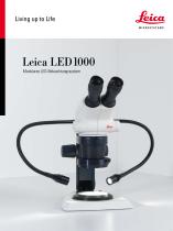 LED1000 - 1