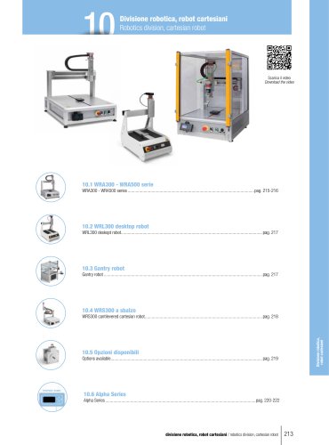 Robotics division, cartesian robot