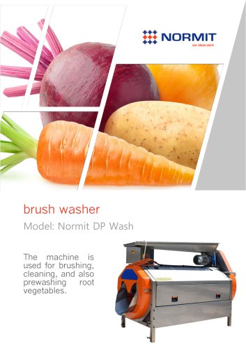 brush washer